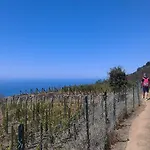 公寓 Mare, Monti E...cinque Terre