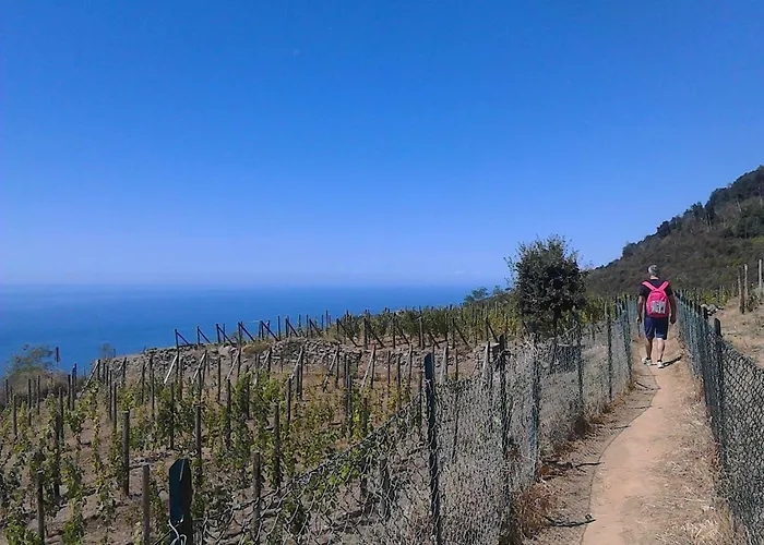 Lägenhet Mare, Monti E...cinque Terre